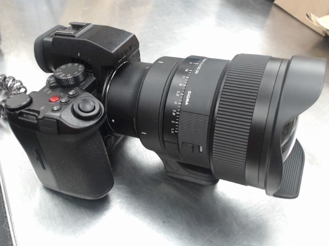 Camera digitale s5iix+14mm sigma dg dn