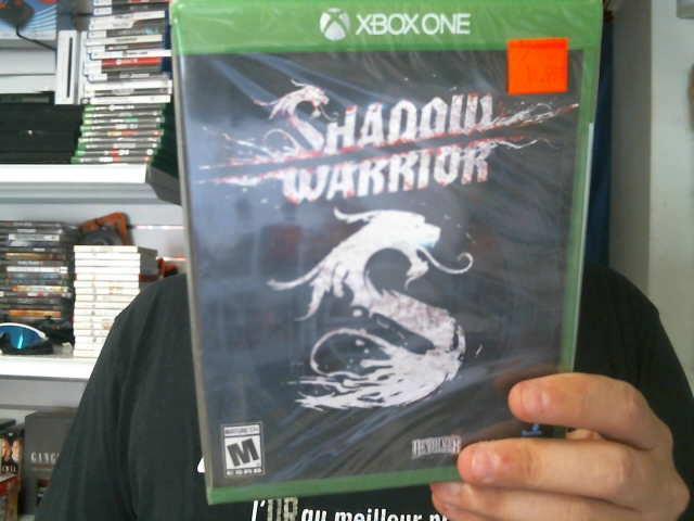 Shadow warrior