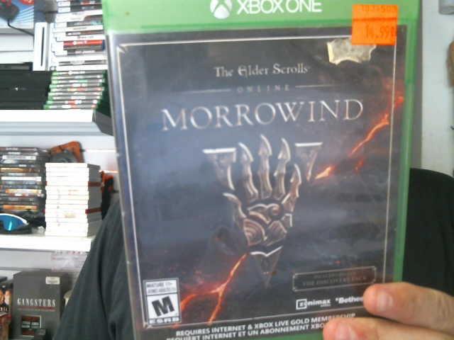 The elder scrolls morrowind