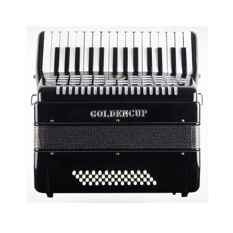 Acordeon noir avec sac vert