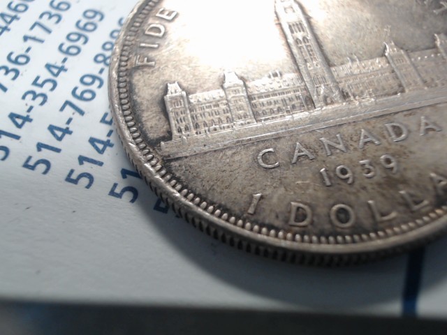 Silver dollar