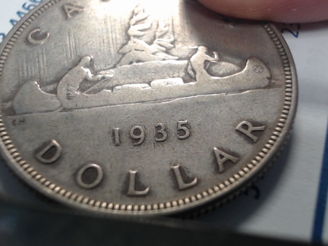 Silver dollar