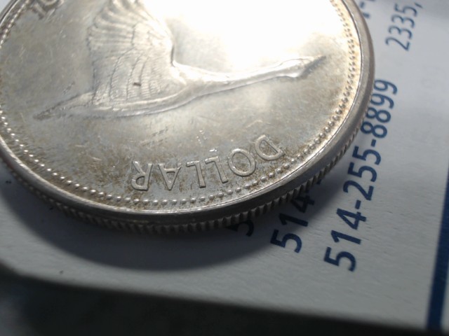 Silver dollar