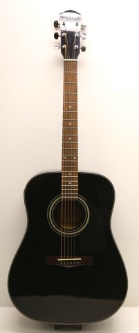 Fender black acoustic w stand