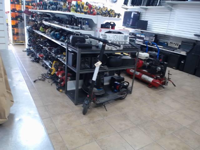 Trotinette electrique gotrax+char ds ps