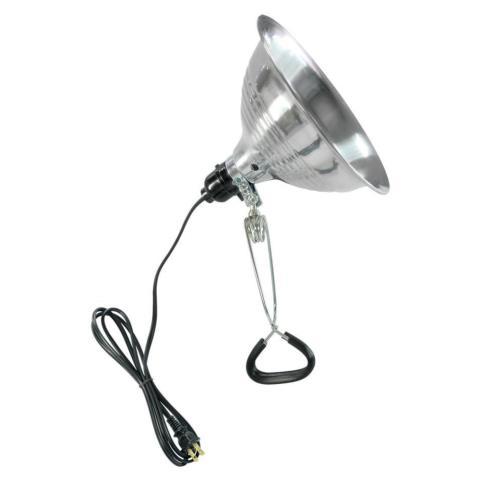 Lampe