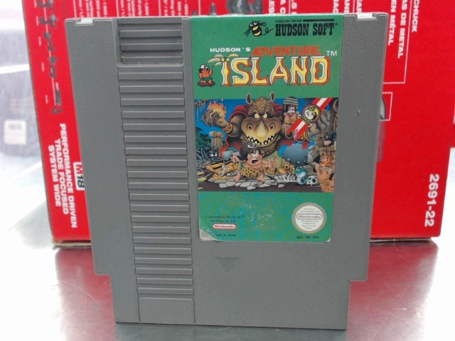 Hudson's adventure island