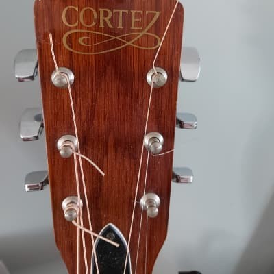 Electro acoustic cortez