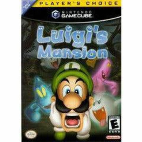 Luigi's mansion