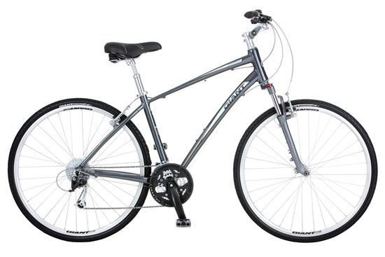 Velo giant cypress 1 gris