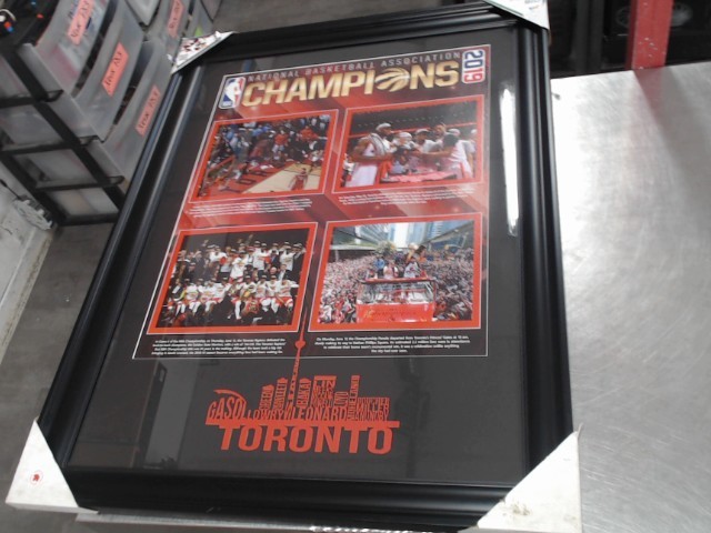Cadre nba champions toronto raptors