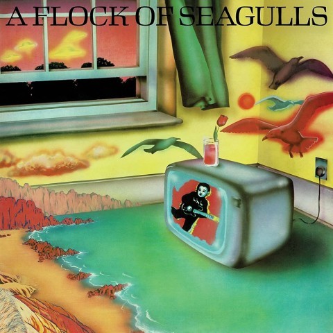 Vynil a flock of seagulls