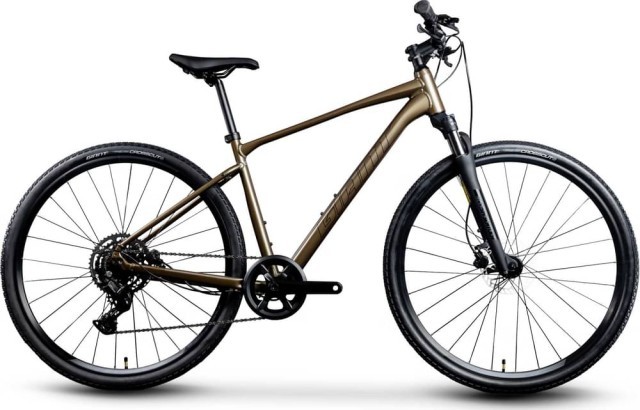 Giant roam brun 2024