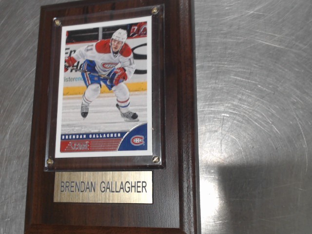 Brendan gallagher framed