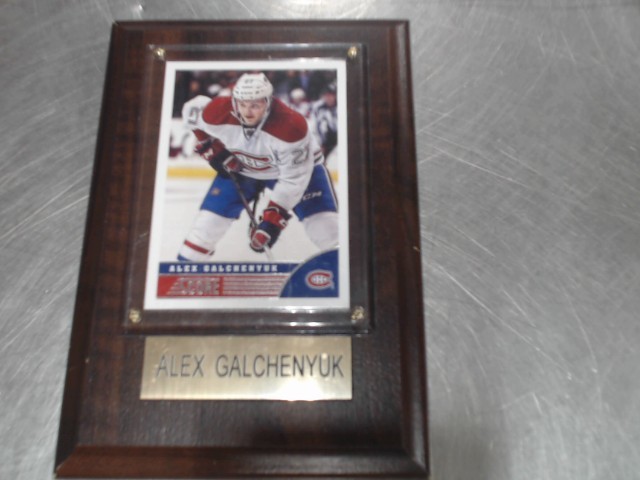 Alex galchenyuk framed