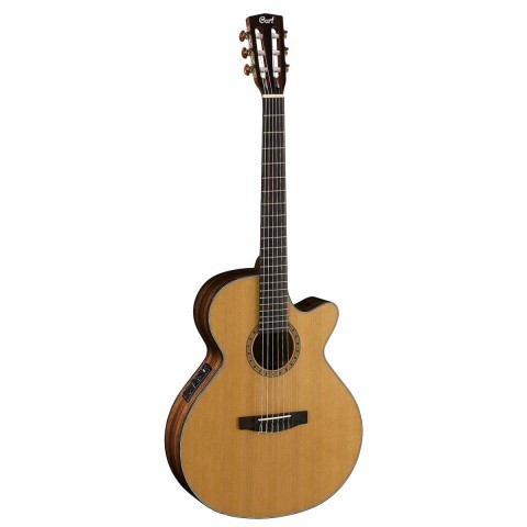 Guitar acoustic