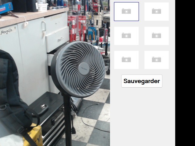 Fan