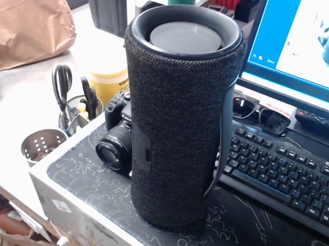 Sony speaker
