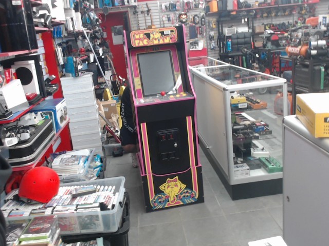 Machine arcade grande nature ms pac-man