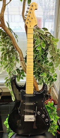 Kirk hammett student series