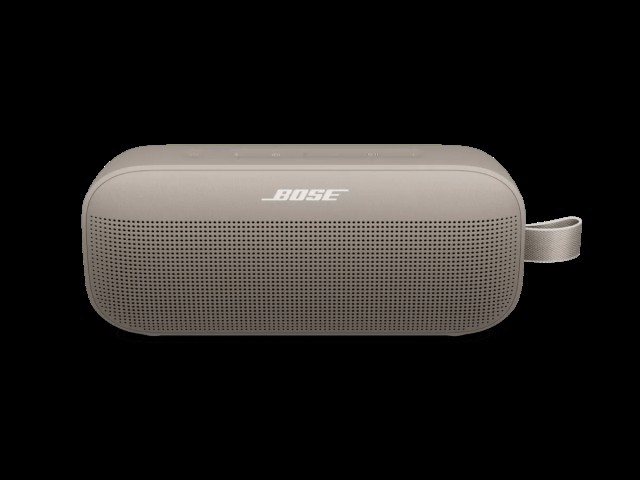 Bose flex 2 grey good shape works
