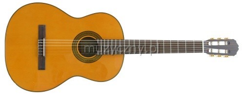 Guitare dans case dur