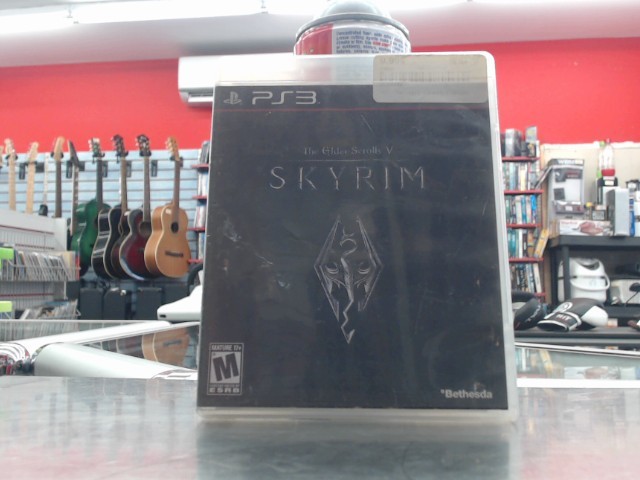 The elders scroll v skyrim
