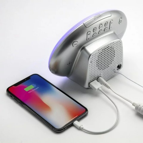 Radio ihome im30