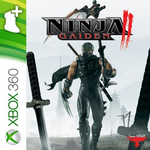 Ninja gaiden ii
