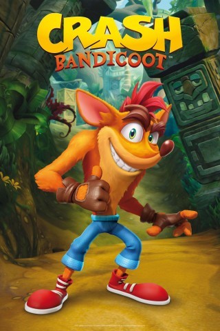 Crash bandicoot