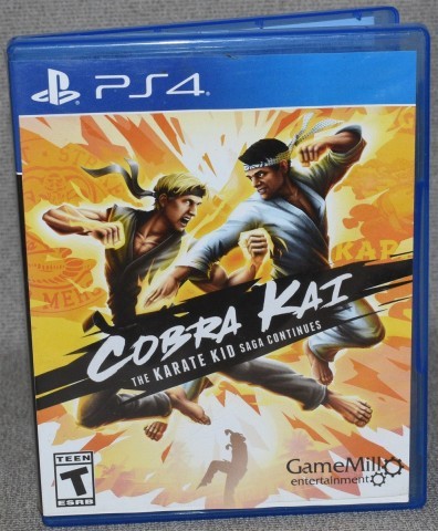 Cobra kai the karate kid saga continues
