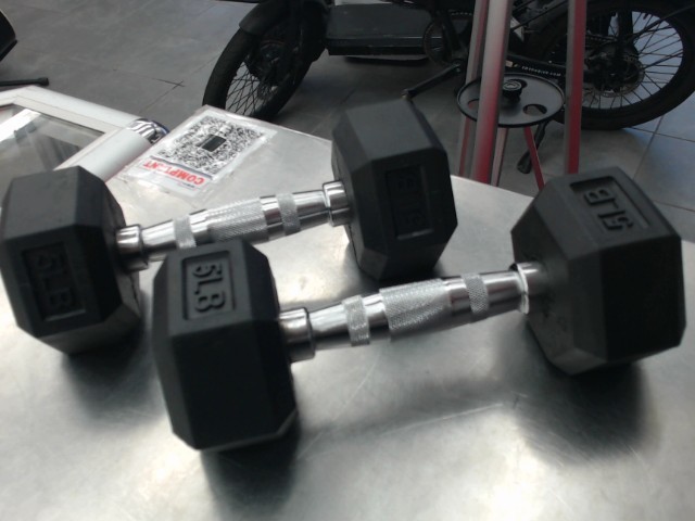 Lot de 2 poids de 5 lbs