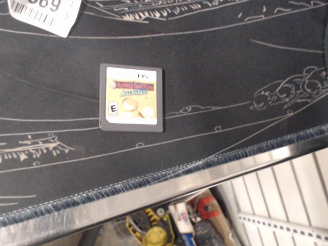 Jeux nintendo ds mysteriecase file