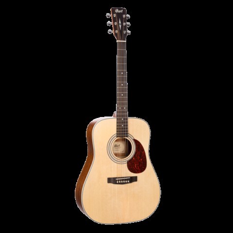 Guitare accoustique