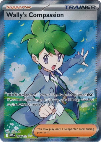 Willy's compassion full art 176/132