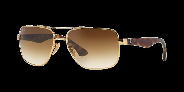 Lunettes rayban + case