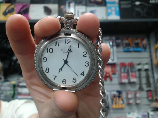 Montre a gousset grise