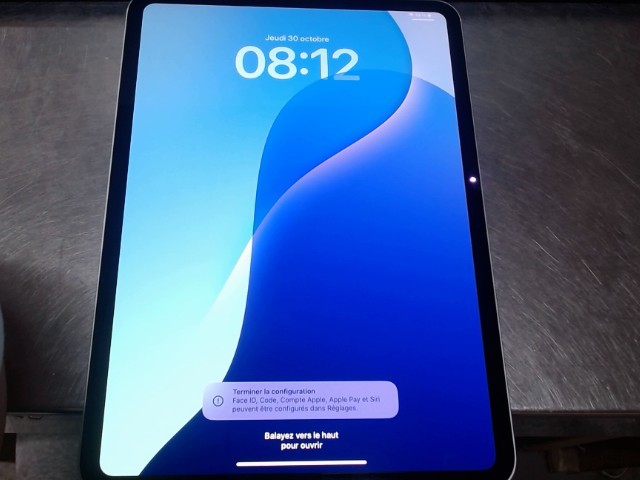 Ipad pro 11pouce 256gb