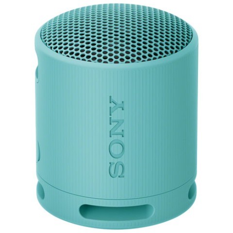 Sony srs-xb100 bleu pale