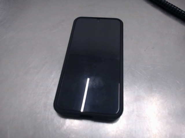Samsung galaxy s24 dans case