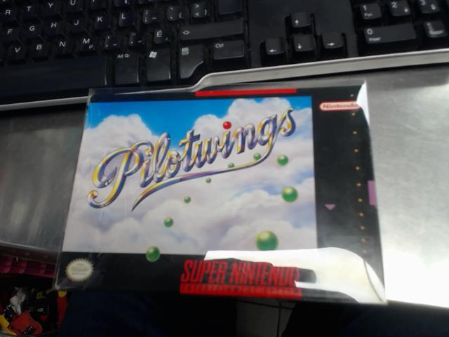 Pilotwings