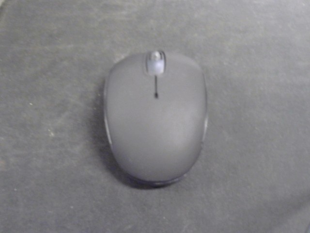 Souris pour ordinatreur