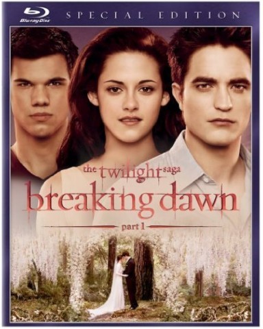 Twilight breaking dawn