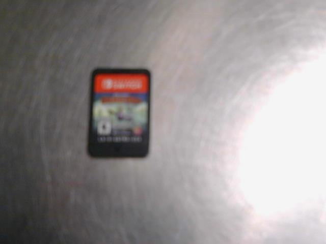 Dw dragons dawn of the dragon racers