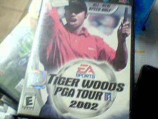 Tiger woods pga tour 2002