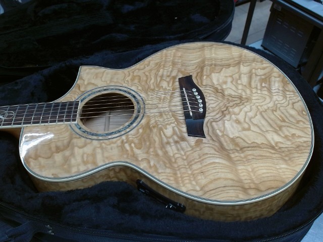 Guitare ibanez ds case