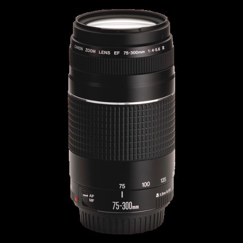 Lentille canon ef 75-300mm 1:4-5.6 iii