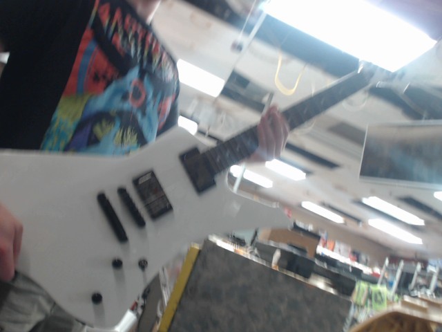 James hetfield signature ds case