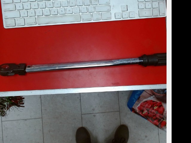 Ratchet sturtevant aichmont