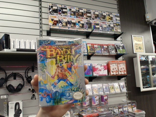 The adventure of bayou billy